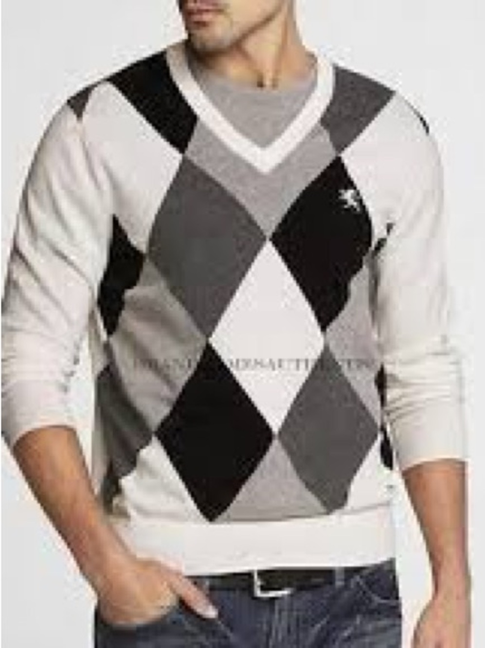 Express men’s v-neck sweater